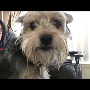 Meet your Posher, Mae